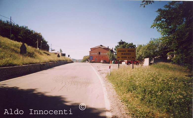 IL PASSO DELLE RADICI